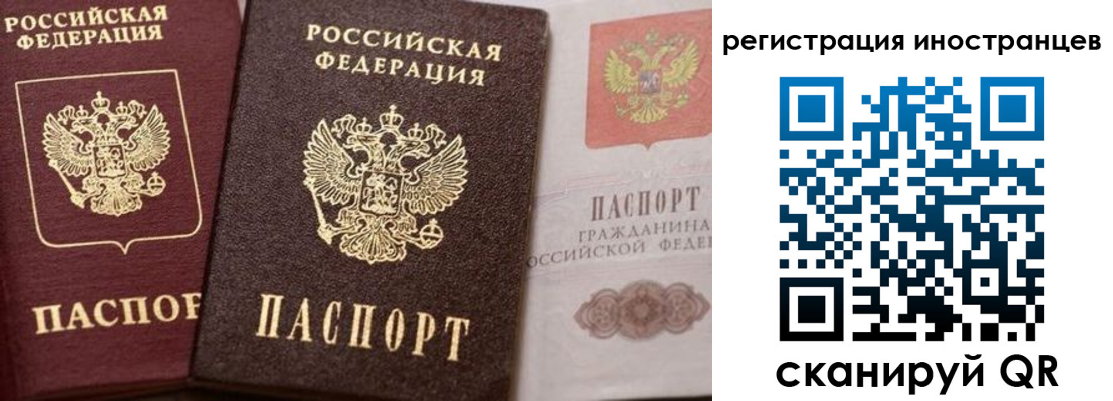 временная регистрация купить в Полярных Зорях